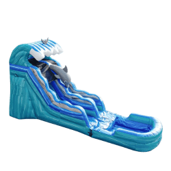Dolphin201520Foot20Water20Slide20PNG 1747670739 Dolphin 15 Foot Water Slide