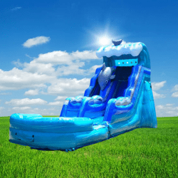 Dolphin 15 Foot Water Slide