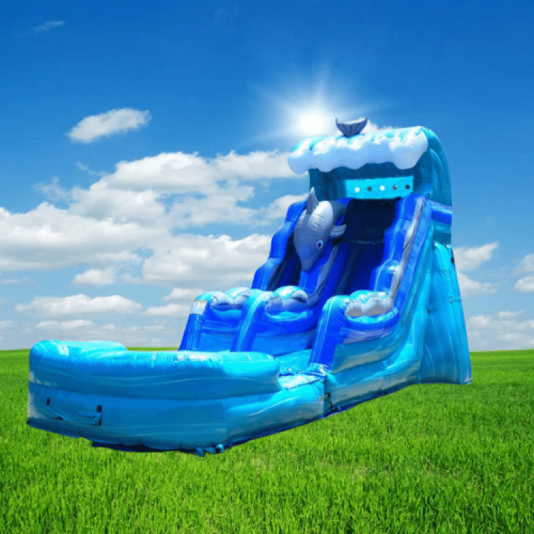 Dolphin 15 Foot Water Slide