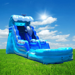 Dolphin201520Foot20Water20Slide 1747670739 Dolphin 15 Foot Water Slide